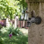 Villa Francesco Appartamento La Ruota